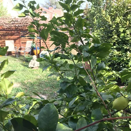Cap Sol Szálloda Mandelieu